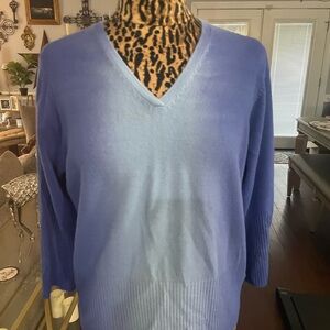 Carolyn Taylor Men's Light Blue V-Neck Sweater